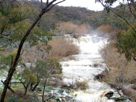The Falls, Mullion Range State Conservation Area. Photo: NSW Government