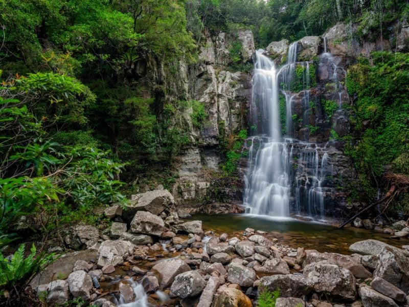Lower Minnamurra Falls plunges into a creek in Budderoo National Park.