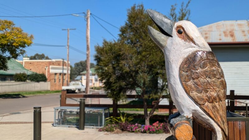 Kookaburra sculpture made by Mark Ray with a chainsaw at Memorial Park, Muswellbrook
