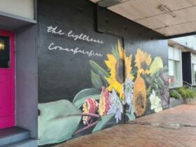 Mural Artwork Shop Front