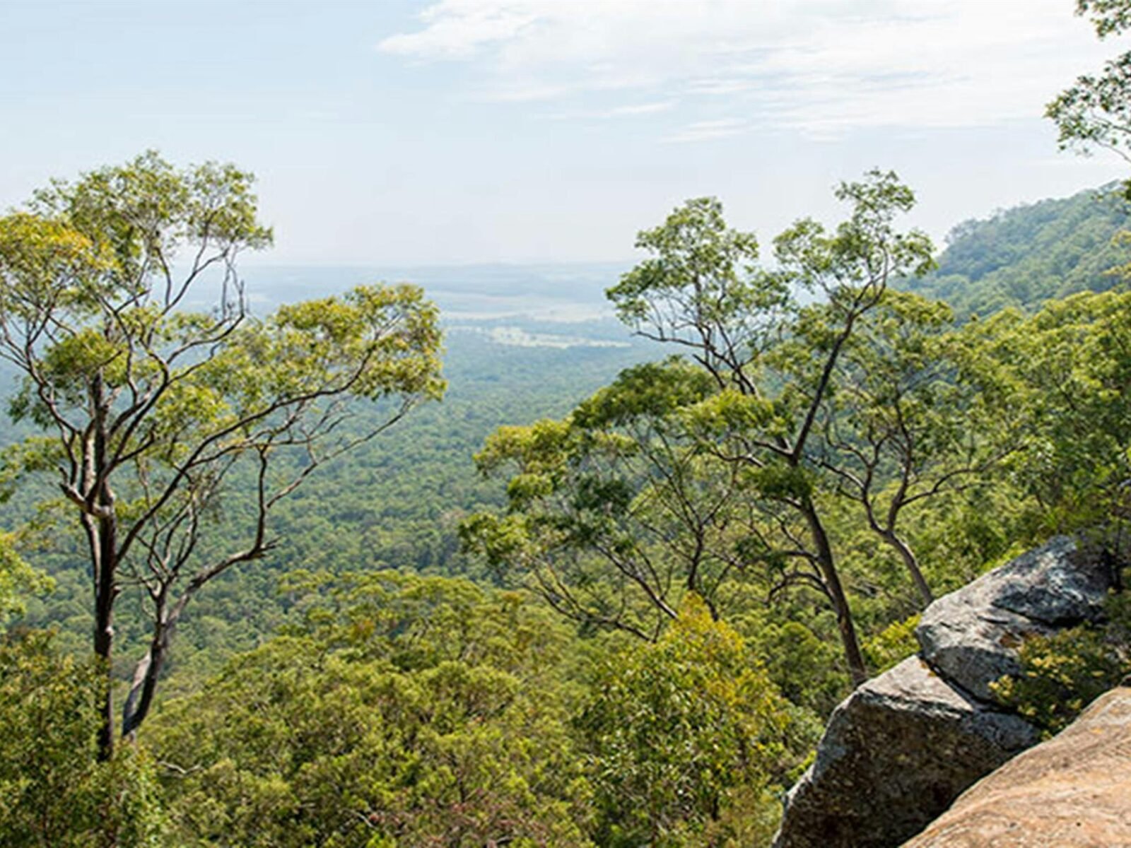 The Narrow Place lookout, Watagans National Park. Photo: John Spencer