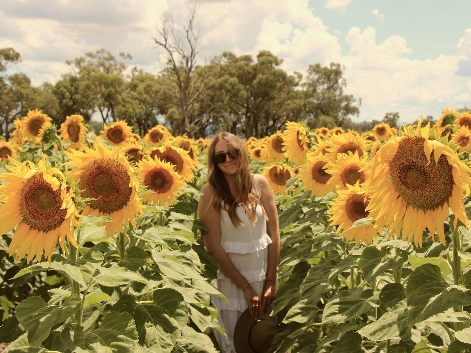 A women stands amongst a paddock of sunflowers the same height as her