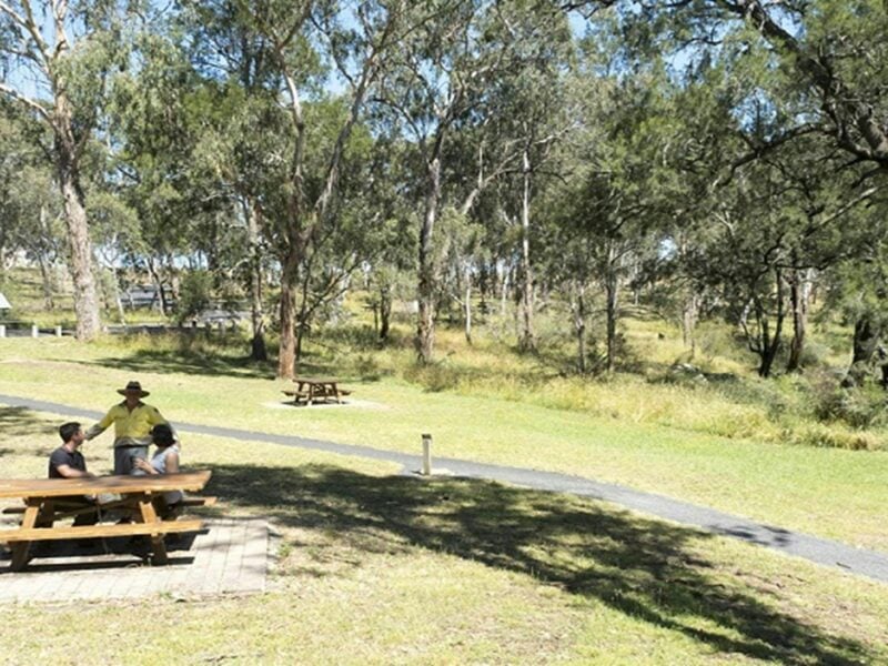 Picnickers chat with an NPWS staff member at Threlfall picnic area. Photo: Leah Pippos ©DPIE