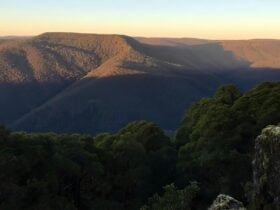 Thunderbolts lookout at sunset, Barrington Tops National Park. Photo: Richard Bjork, © Richard