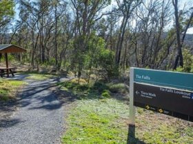 Tia Falls picnic area, Oxley Wild Rivers National Park. Photo: Josh Smith © DPE