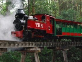 Steam Train