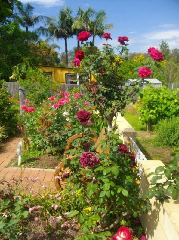 Gardens in Tinonee Musuem part of the Heritage Walk Map