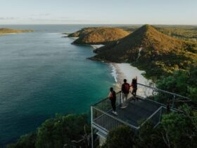 Three people at the viewpoint of Tomaree Head Summit, looking at the coastline