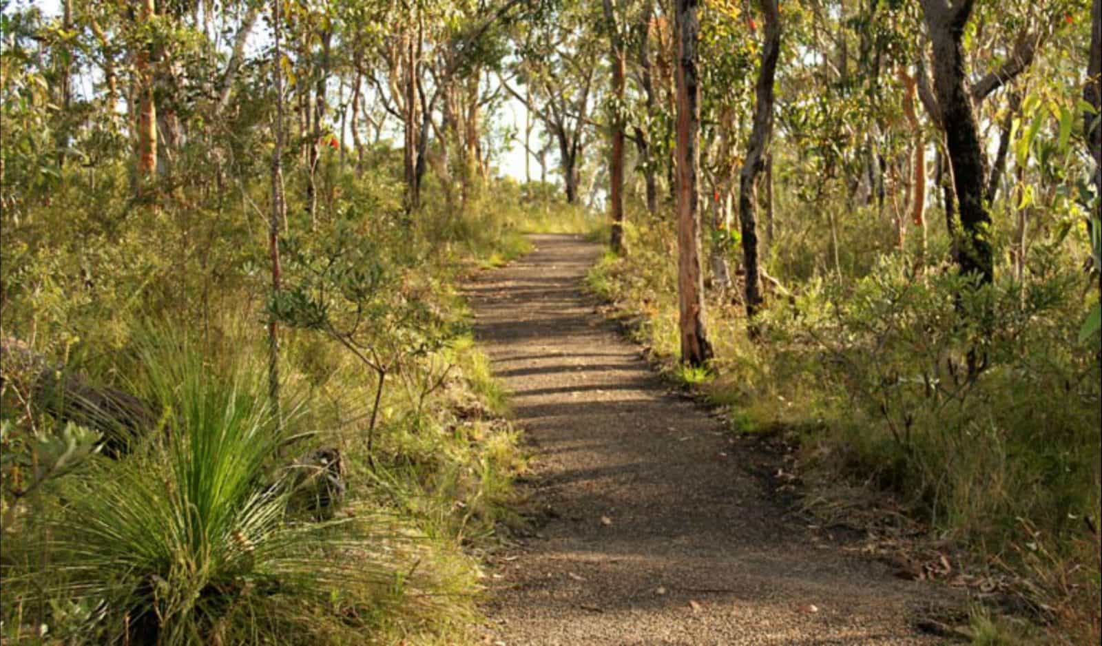 Tommos loop and Rocky Ponds cycling loop