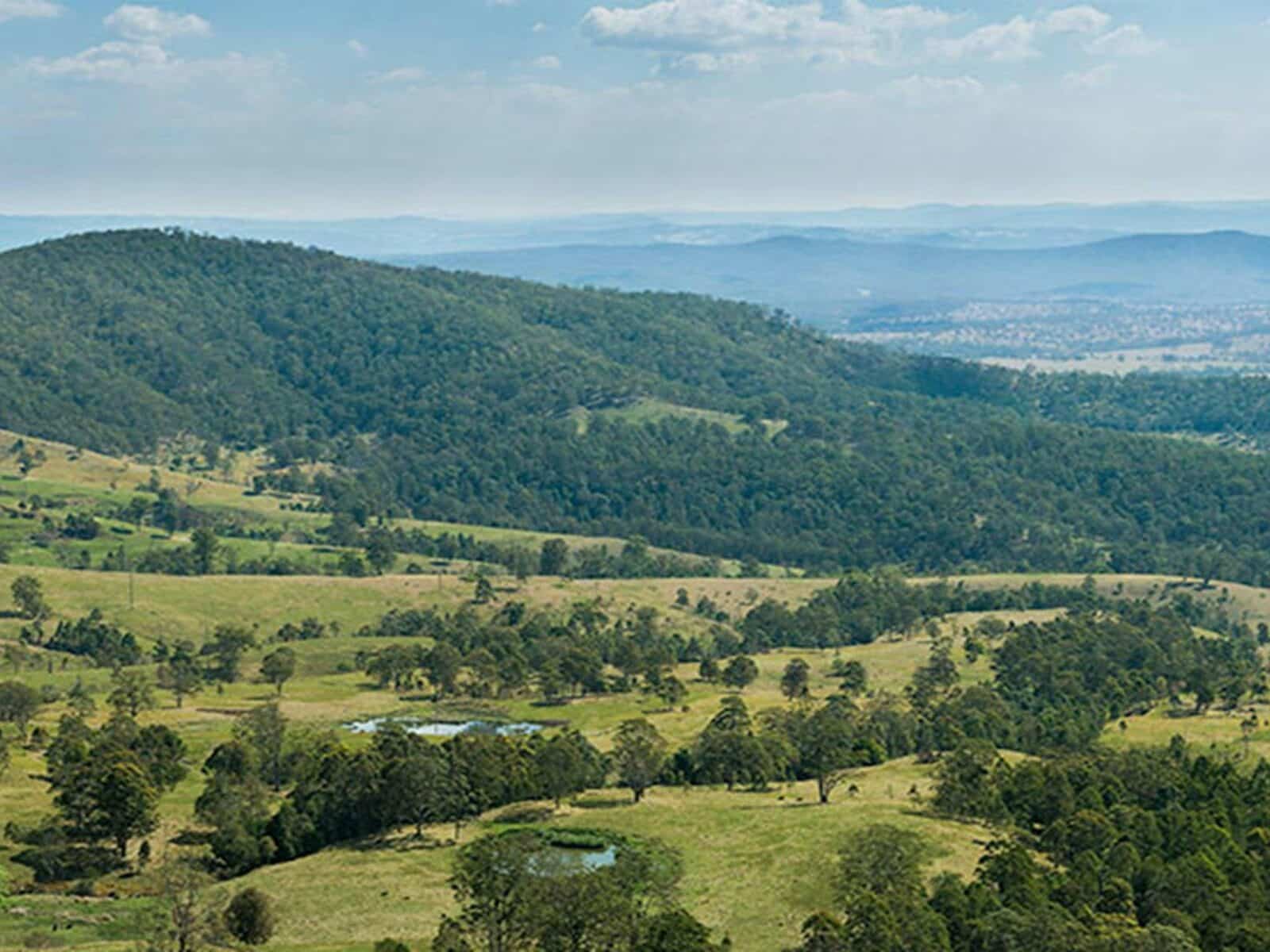 Tooloom lookout, Tooloom Nature reserve. Photo: John Spencer © OEH
