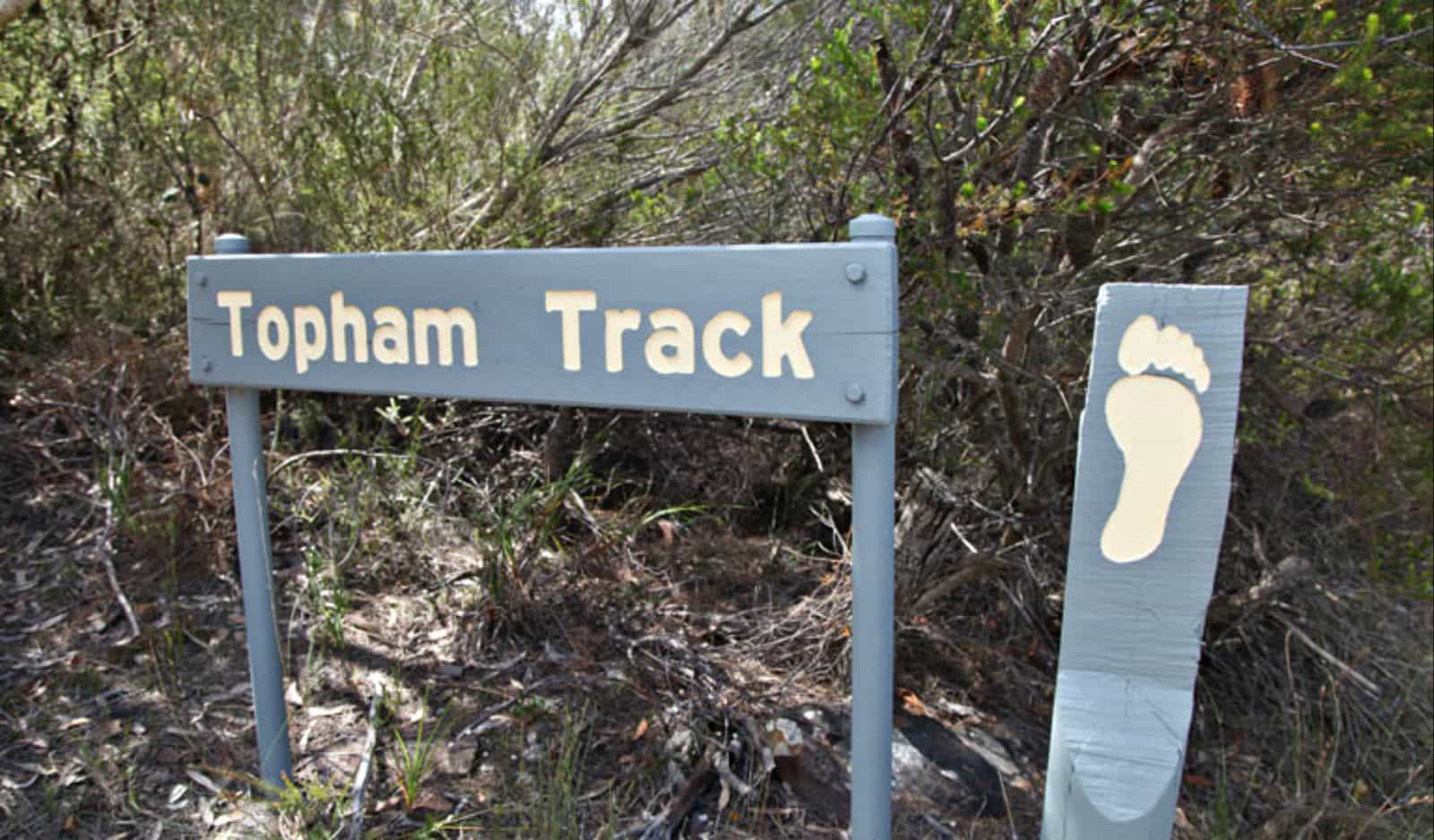Topham track, Ku-ring-gai Chase National Park. Photo: Andy Richards/NSW Government