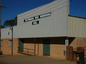 Tottenham War Memorial Hall