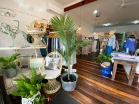 Clothes and vintage furniture