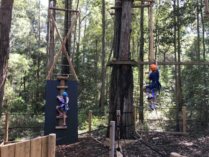 TreeTop Vertical Challenges