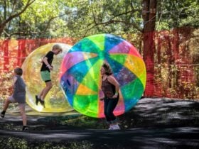 School Holiday all ages family fun at TreeTops Central Coast