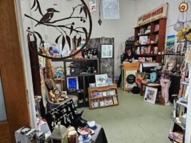Eclectic retail space within the South Grafton Emporium