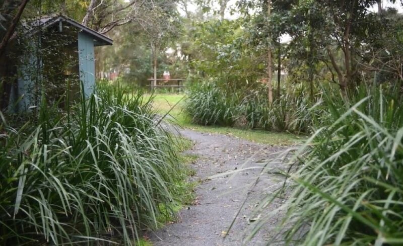 Tucabia Flora Reserve