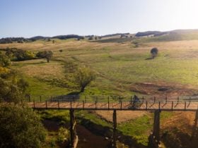 Mannus Bridge