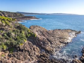 Tura Headland, Sapphire Coast, Walks, lookouts, Merimbula, Tura Beach