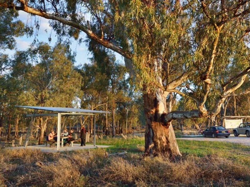 Turkey Flat picnic area and bird hide, Murrumbidgee Valley National Park. Photo: Gavin Hansford