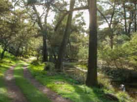Track winding along the Turon River, Turon National Park. Photo: D.Noble