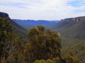 View of forest-clad valleys and rocky cliff bands near Twister and Rocky Creek canyons. Photo
