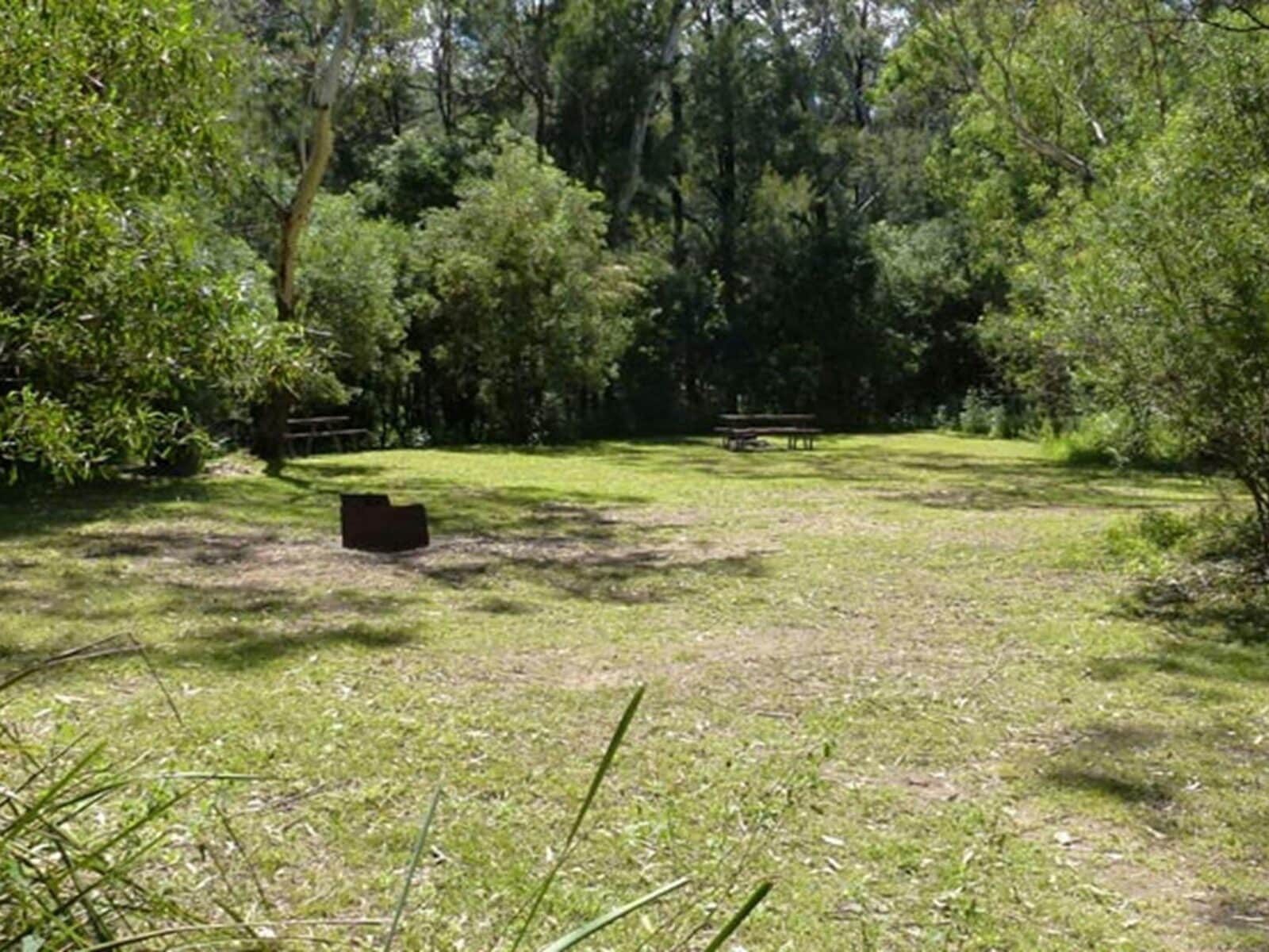Upper Bullawa Creek picnic area, Mount Kaputar National Park. Photo: Boris Hlavica © OEH