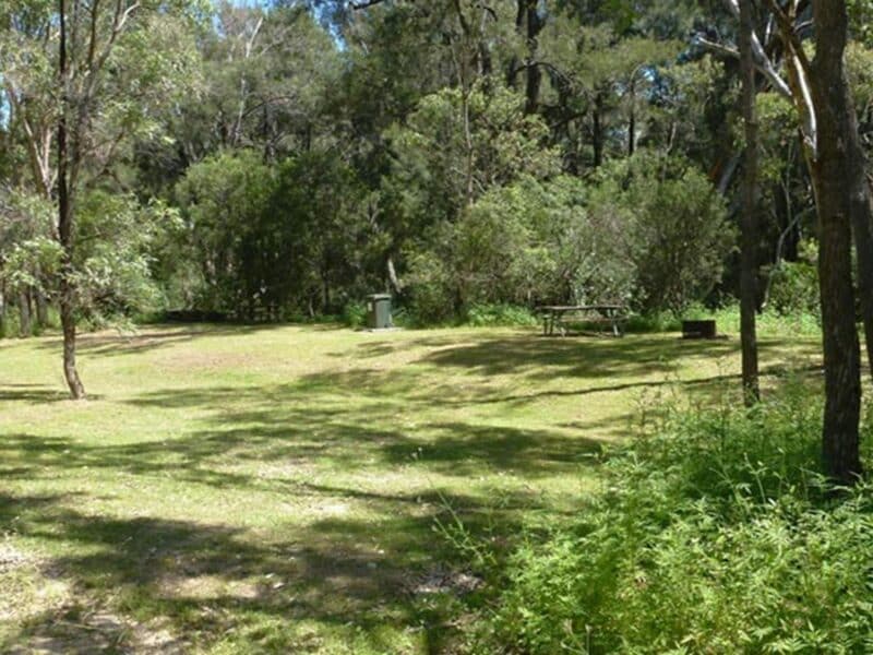 Upper Bullawa Creek picnic area, Mount Kaputar National Park. Photo: Boris Hlavica © OEH