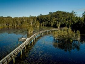 Boardwalk at Urunga Wetlands