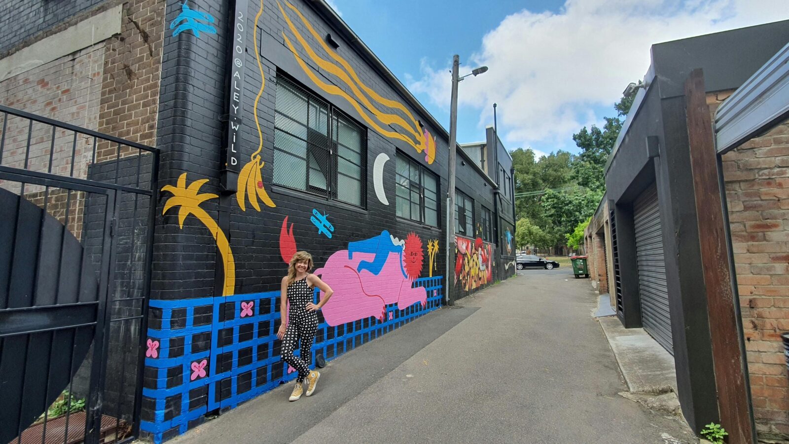 Aley Wild Vandal Mural