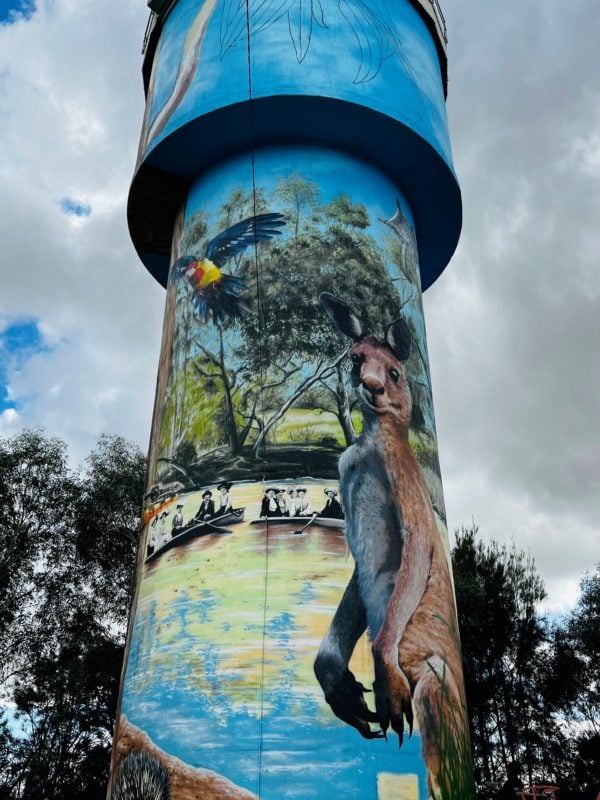 Kangaroo scene on the tower. Kangaroo standing next to the Gum swamp with people canoeing.