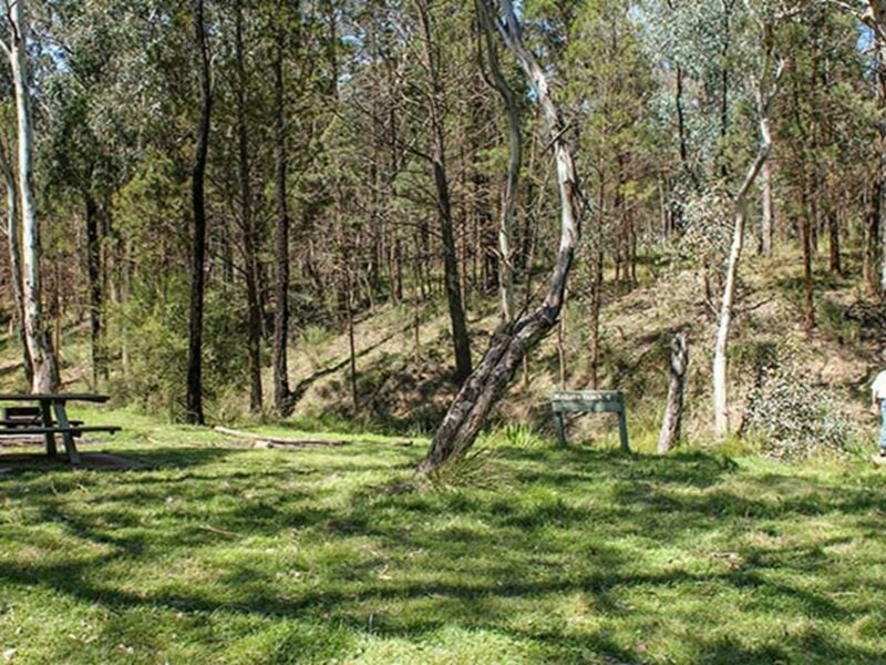 Wallaby picnic area, Conimbla National Park. Photo: Claire Davis/NSW Government