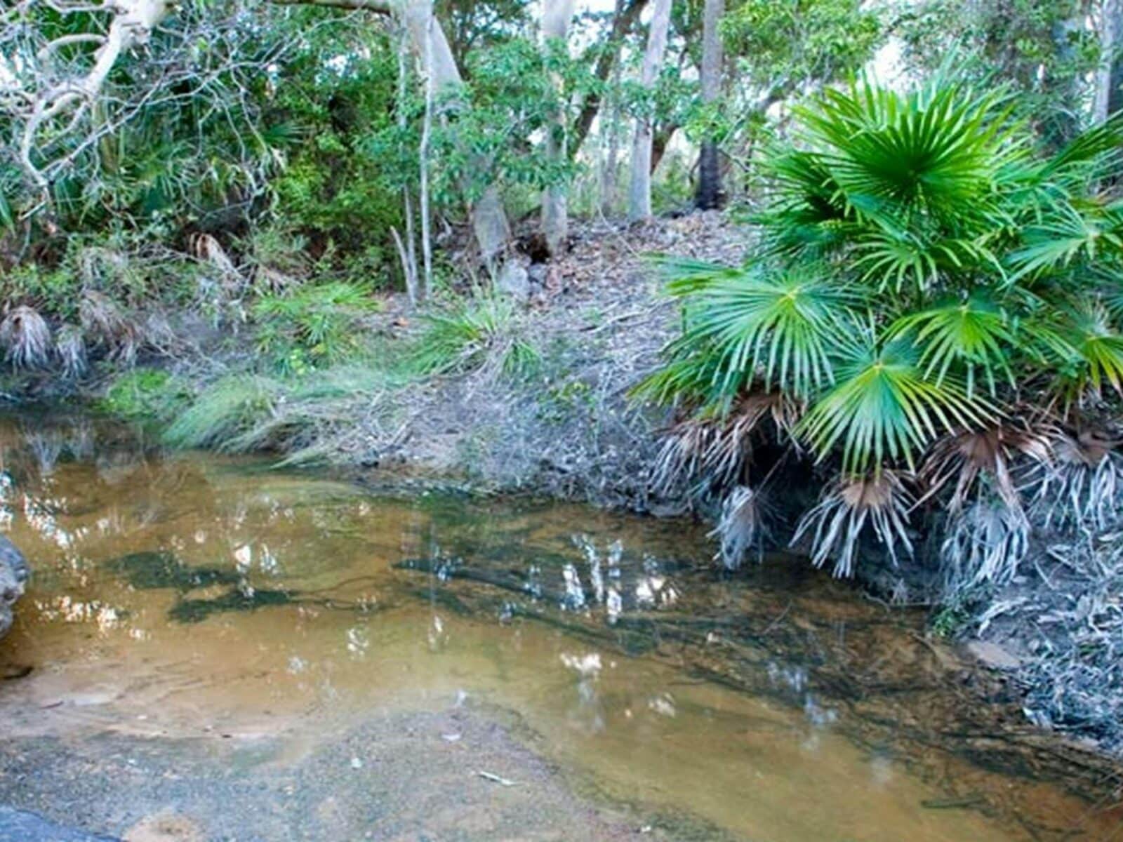 Yondeo trail. Photo: Susan Davis/OEH