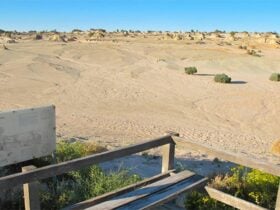 Walls of China Viewing Platform, Mungo National Park. Photo: Wendy Hills/NSW Government