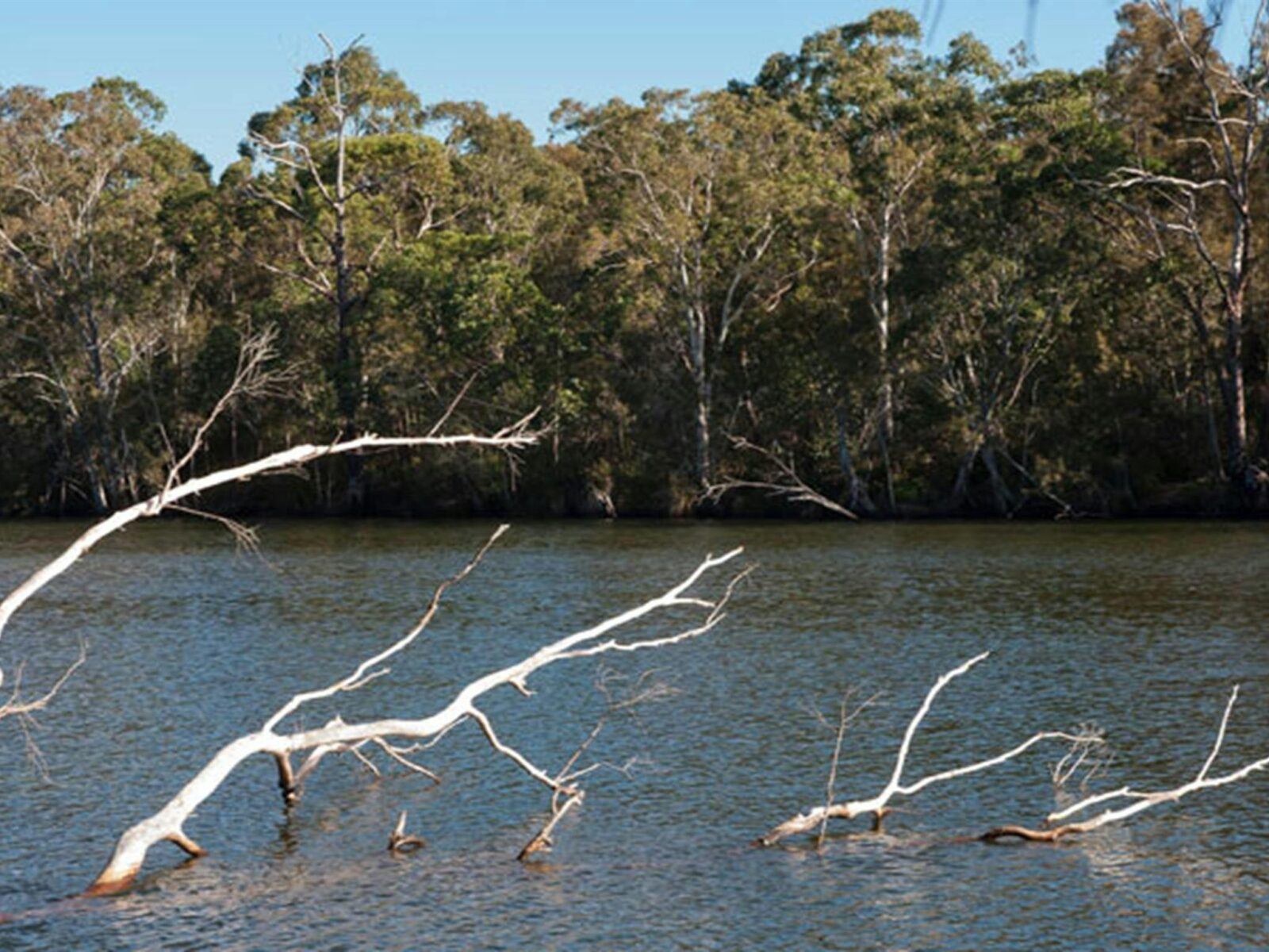 Delta Track, Corramy Regional Park. Photo: Michael van Ewijk © OEH