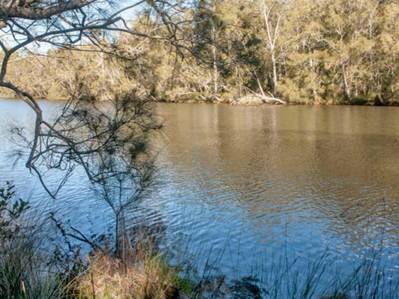Wandandian Creek picnic area, Corramy Regional Park. Photo: Michael van Ewijk © OEH