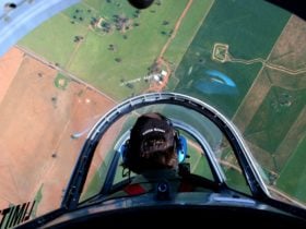 Warbirds
