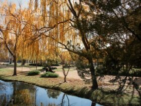 Waring Gardens