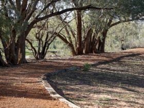 Warrego Floodplain walking track, Toorale National Park