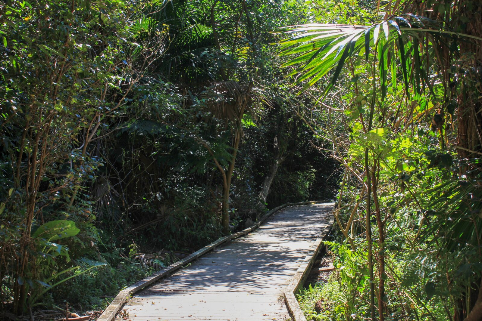 Warriewood Wetlands walkway