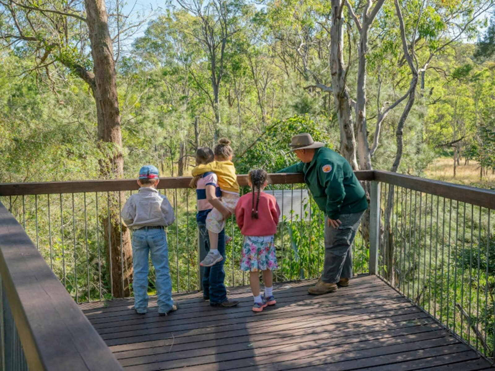 Viewing platform set within river oak forest, Towarri National Park. Credit: John Spencer © DPE