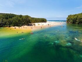 People enjoying swimming at Wattamolla, Royal National Park Sydney