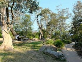 A woman sits at a picnic table at Wentworth Falls picnic area, Blue Mountains National Park. Photo: