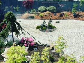 White quartz pebbles