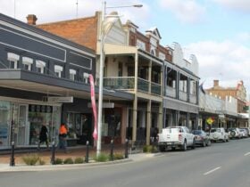 Main Street West Wyalong with Heritage Buildings