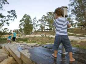 Lizard Log playground Abbotsbury