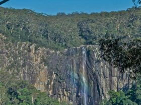 Waterfall, Whian Whian National Park. Photo: John Spencer