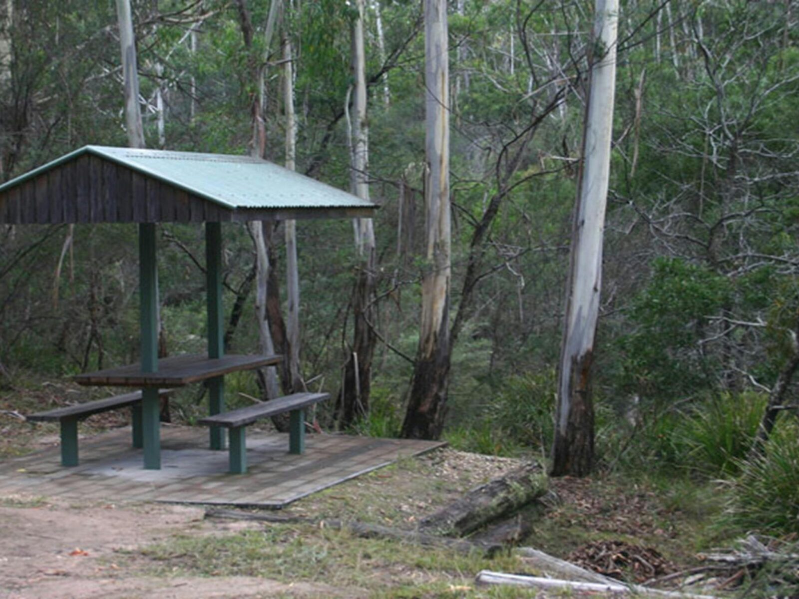 White Rock River picnic area, South East Forest National Park. Photo credit: David Costello ©