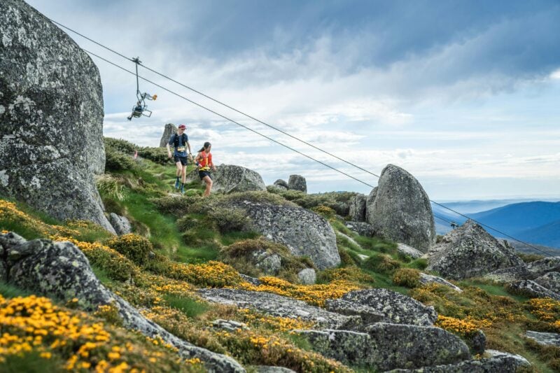 Runners enjoying the wild flower season.