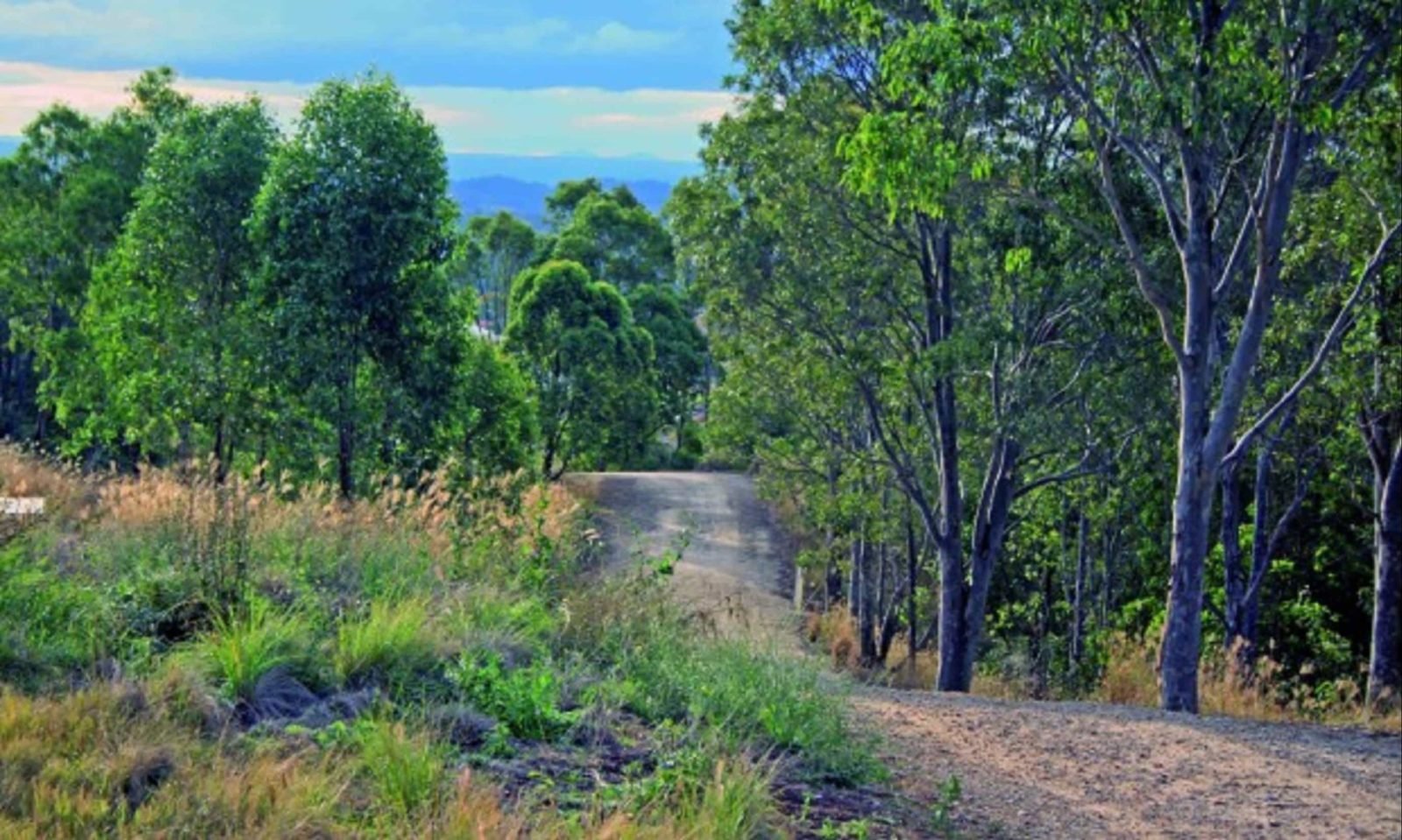 William Howe Reserve